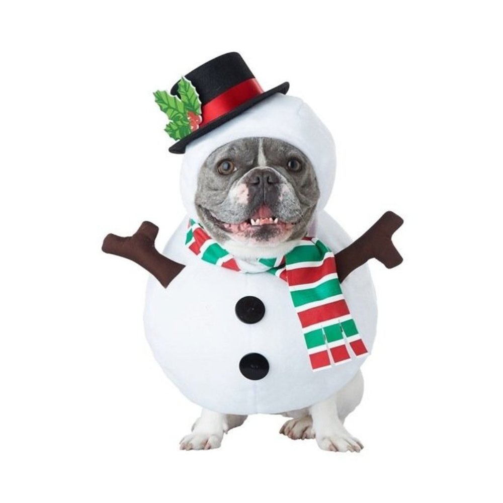 Snowman Puppy Dog Winter Holiday Christmas Halloween Costume Large The ImPAWster